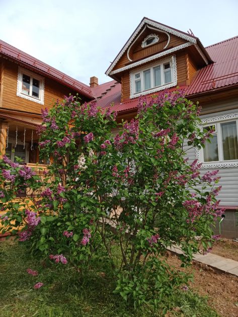 Гостевой дом Старый Город, Плёс