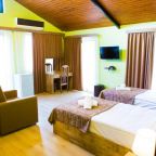 Двухместный (Двухместный номер с 2 отдельными кроватями и балконом), Hotel Holiday Villa