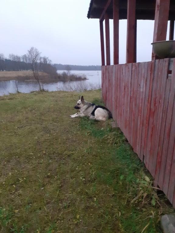 Номер (Дом с 3 спальнями), Летний дом Три Озера