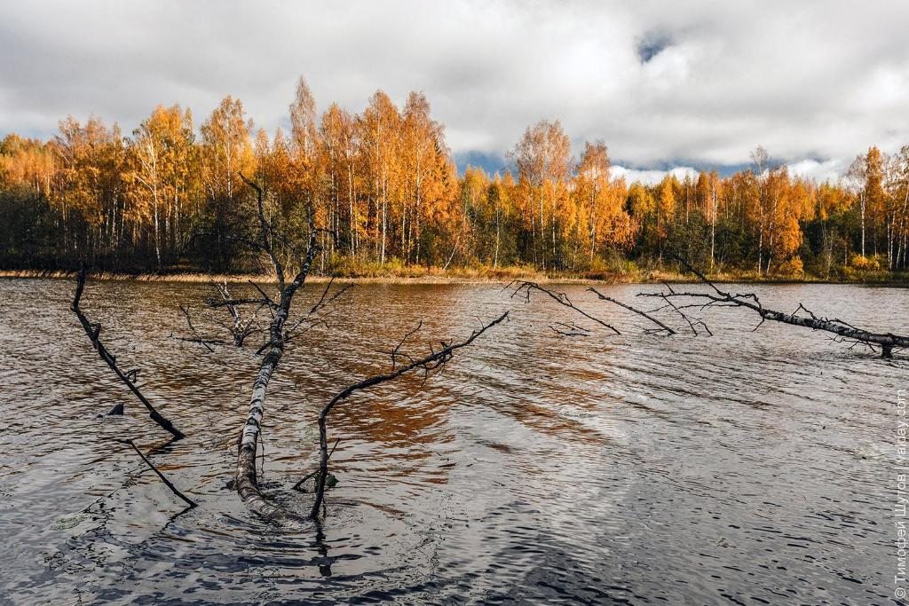 Номер (Дом с 3 спальнями), Летний дом Три Озера