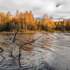 Номер (Дом с 3 спальнями), Летний дом Три Озера