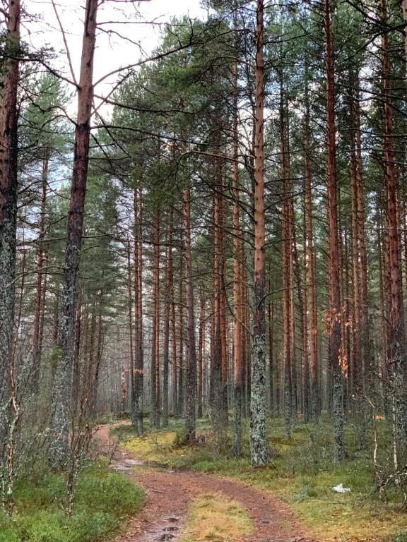 Номер (Дом с 2 спальнями), Дом для отпуска Четыре соловья