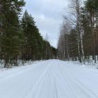 Номер (Дом с 2 спальнями), Дом для отпуска Четыре соловья