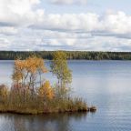 Номер (Дом с 3 спальнями), Домик на Сюрьге