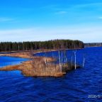 Номер (Дом с 3 спальнями), Домик на Сюрьге