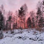 Номер (Дом с 3 спальнями), Домик на Сюрьге