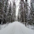 Номер (Дом с 3 спальнями), Домик на Сюрьге