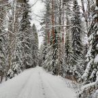 Номер (Дом с 3 спальнями), Домик на Сюрьге