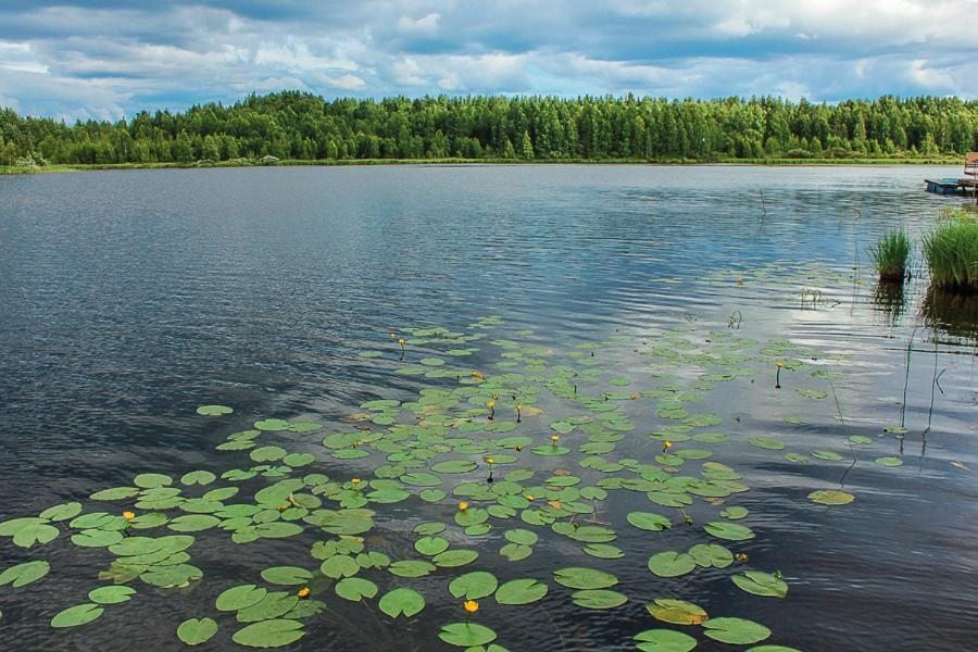 Номер (Шале с 3 спальнями), Дом для отпуска Лось