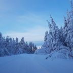 Номер (Шале с 3 спальнями), Дом для отпуска Лось