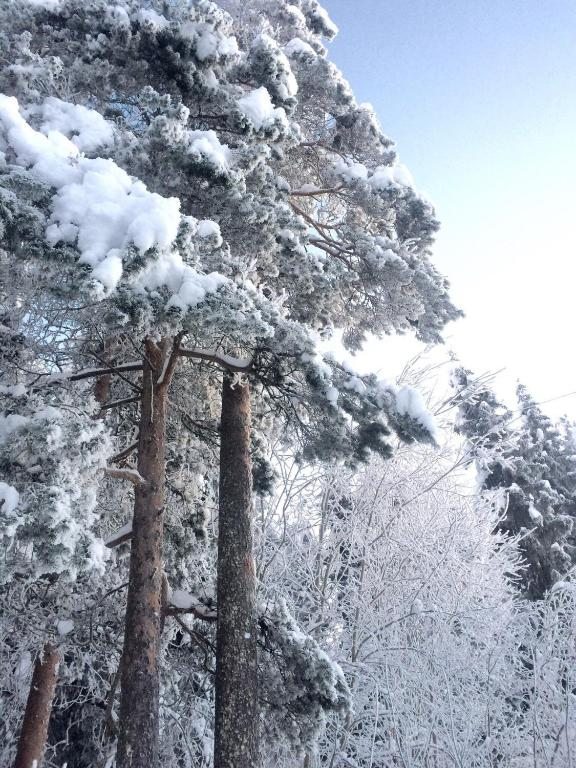 Номер (Шале с 3 спальнями), Дом для отпуска Лось