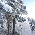 Номер (Шале с 3 спальнями), Дом для отпуска Лось