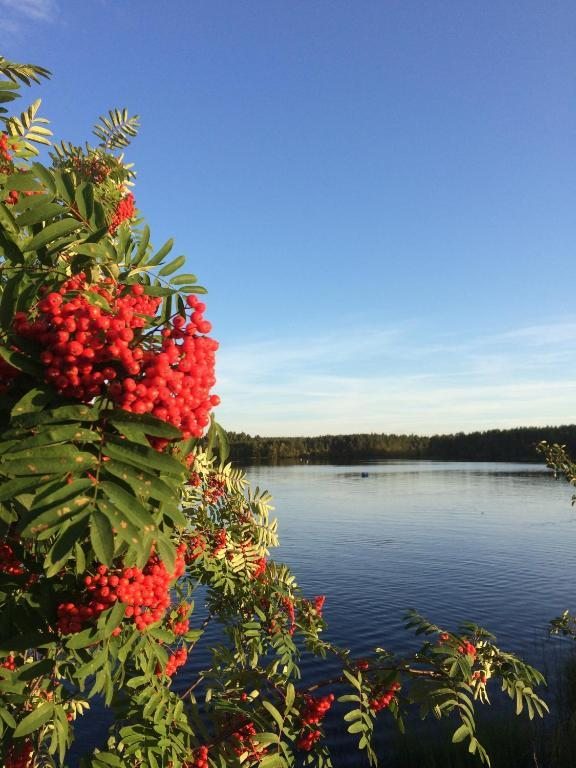 Номер (Шале с 3 спальнями), Дом для отпуска Лось