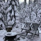 Коттедж (С террасой), База отдыха Brusnika Village