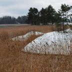 Номер (Дом для отпуска), Гостевой дом Домик в Харвиа