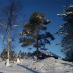 Номер (Дом для отпуска), Гостевой дом Домик в Харвиа