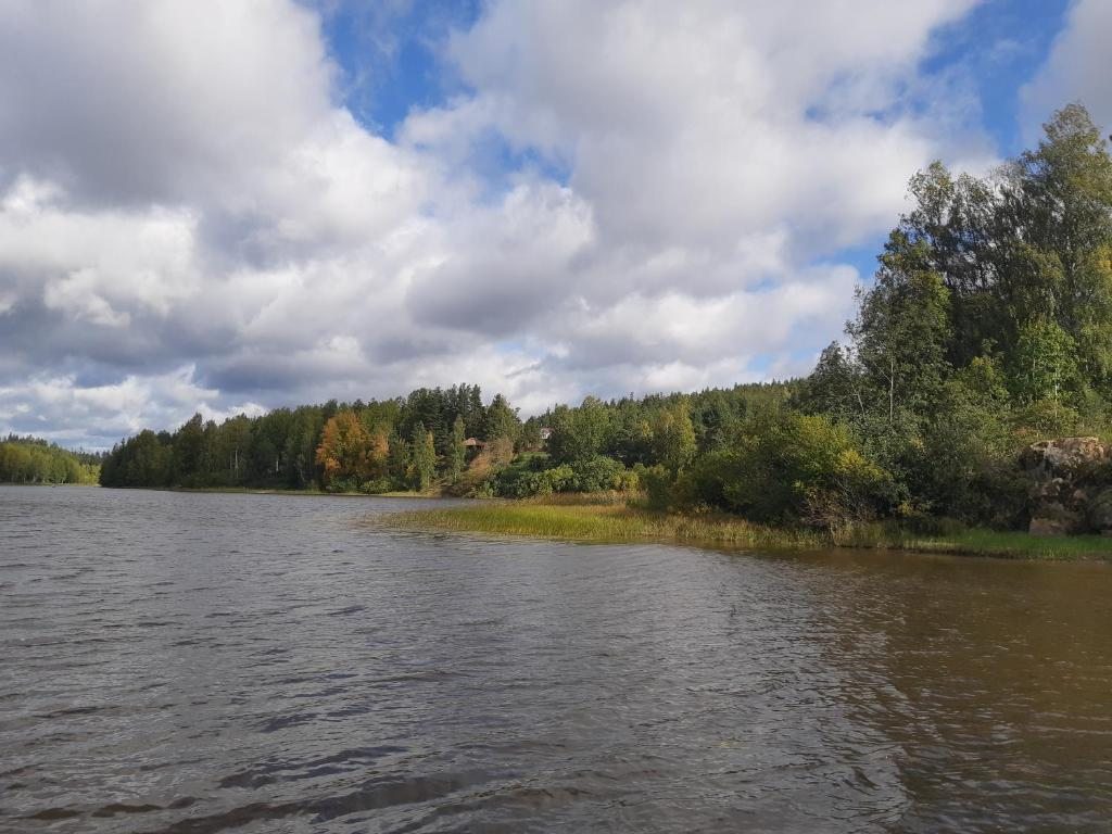 Номер (Дом с 3 спальнями), База отдыха Ладогорье