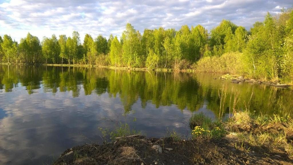 Номер (Дом с 1 спальней), Гостевой дом Медовое Ранчо