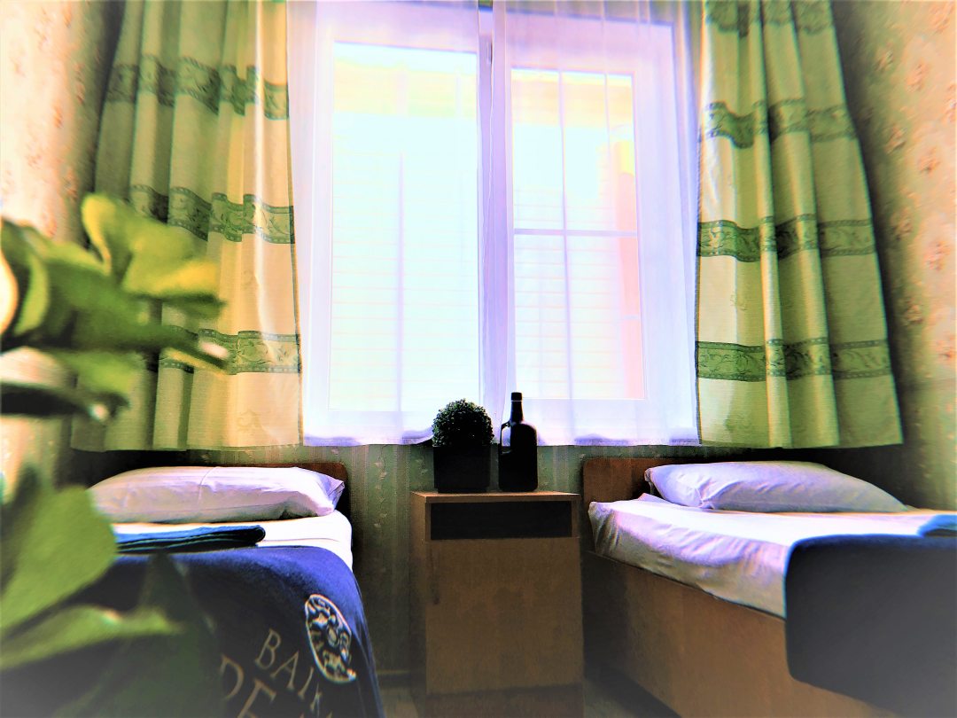 Двухместный (Двухместный номер эконом-класса с 2 отдельными кроватями) гостевого дома Киви, Нижнее Учдере
