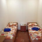 Двухместный (Двухместный номер эконом-класса с 2 отдельными кроватями), Гостевой дом Одоевский