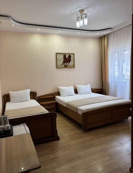 Фотография номера гостиницы Москва