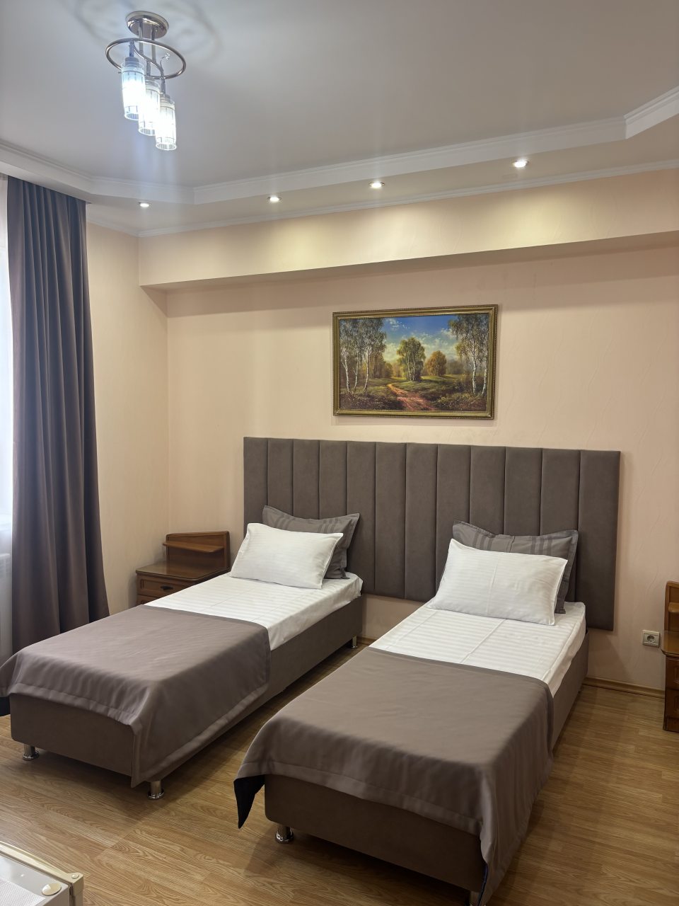 Двухместный (Стандарт с 2 отдельными кроватями), Гостиница Москва