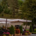 Беседки для отдыха, Forrest Terrace Hotel