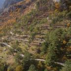 Сад, Forrest Terrace Hotel