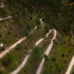 Пешие прогулки, Forrest Terrace Hotel