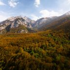 Объект находится в горах, Forrest Terrace Hotel