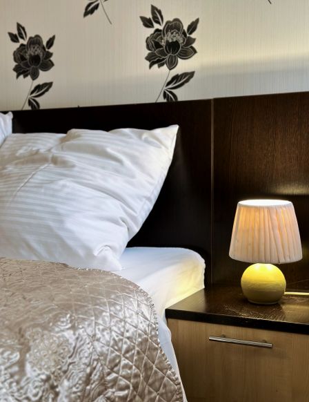 Фотография номера гостиницы Эдем на Репина, 52