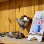 Трехместный (С душем и туалетом), Гостевой дом Алтайские дачи