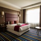 Двухместный (Стандарт с двуспальной кроватью), Отель Mercure Липецк Центр