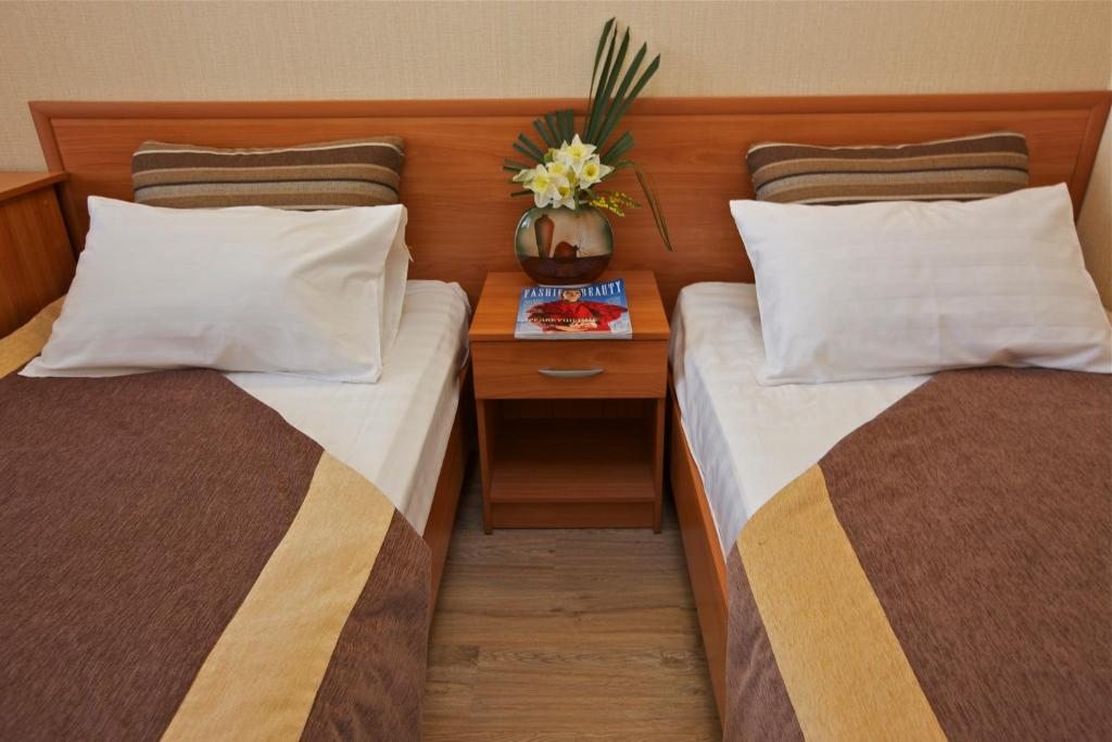 Двухместный (Стандартный двухместный номер с 1 кроватью или 2 отдельными кроватями) спа-отеля Охотник, Адлер