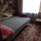 Одноместный (Небольшой одноместный номер), U Nikolaevny Guesthouse