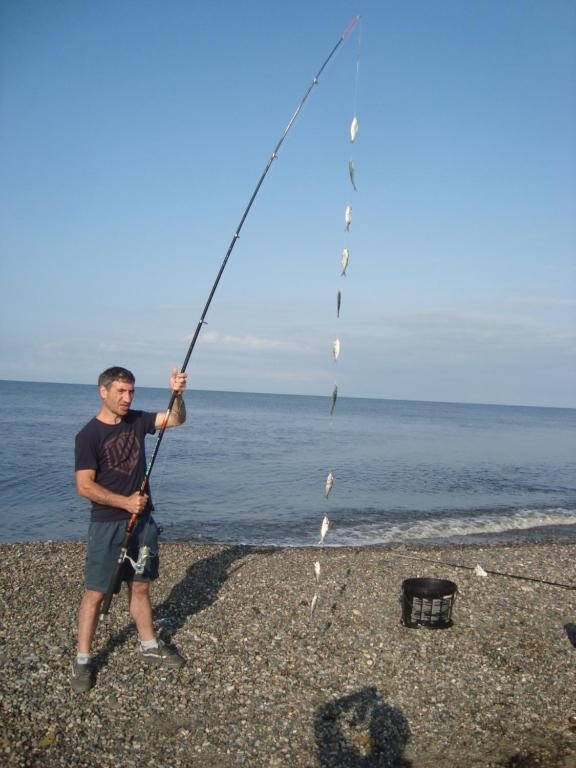 Трехместный (Бюджетный трехместный номер) гостевого дома Black Beach Guest House, Шекветили