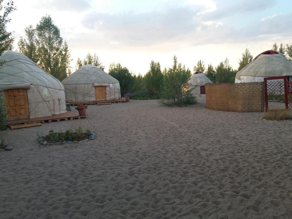 Yurt camp Tosor, Тосор