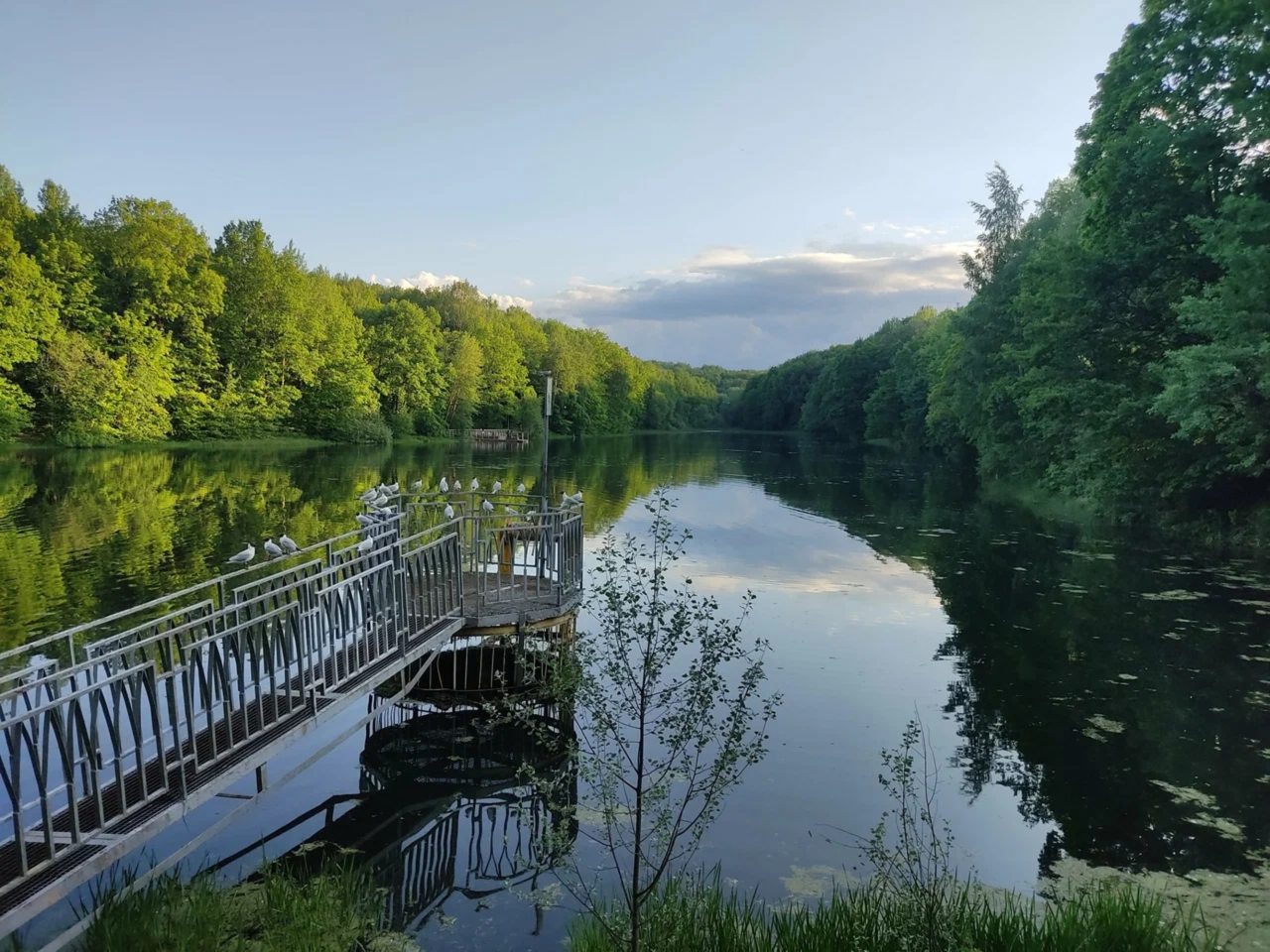 Одноместный (Бюджетный номер), Апарт-отель Золотой Клевер