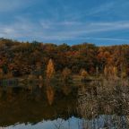 Одноместный (Бюджетный номер), Апарт-отель Золотой Клевер