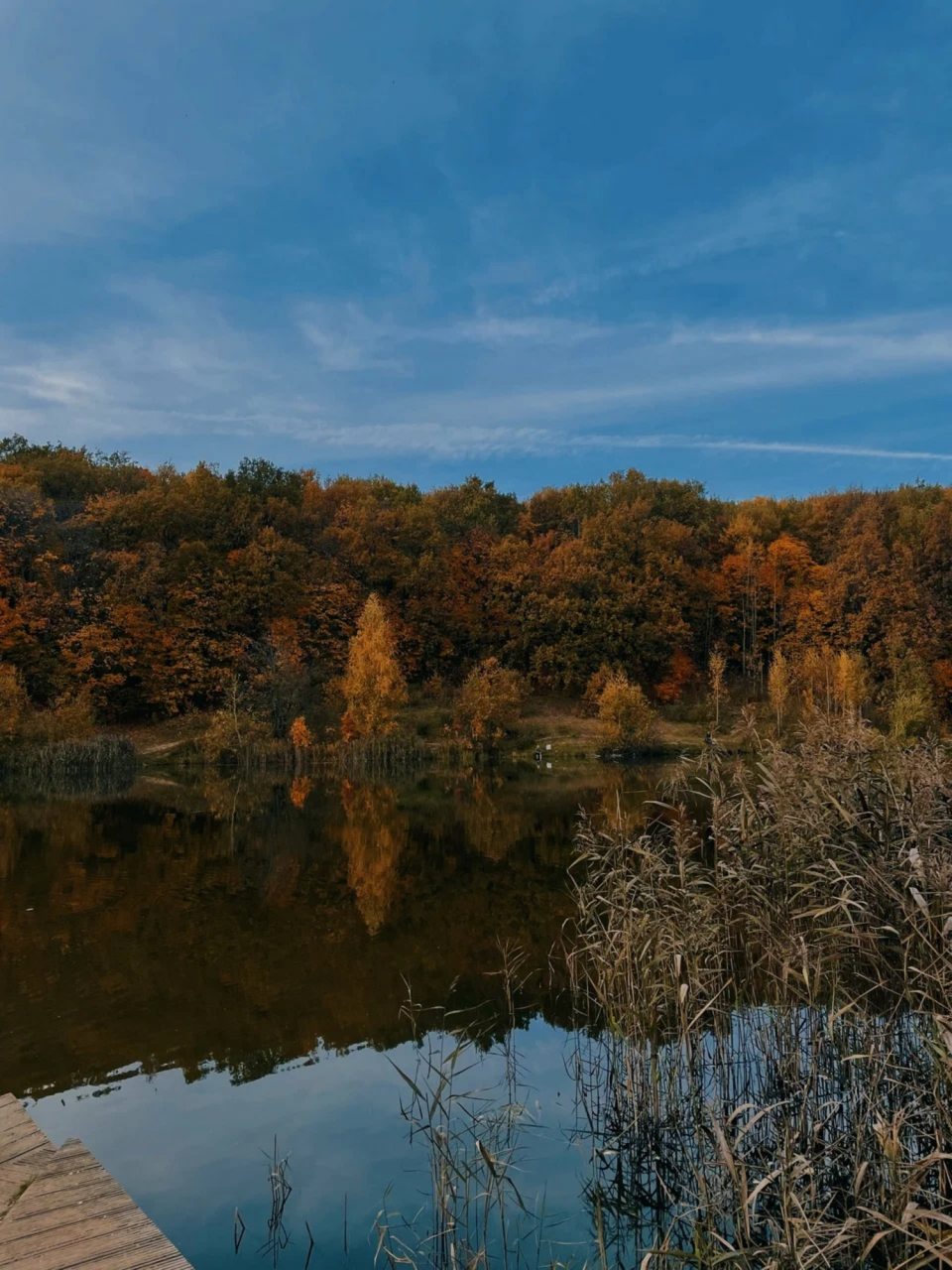 Двухместный (Стандартный номер), Апарт-отель Золотой Клевер