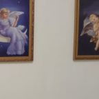 Номер без окна, Арт-отель Круиз