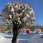 Семейный (Двухкомнатный номер с балконом), Гостевой дом Белый Аист