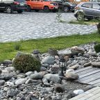 автостоянка на территории