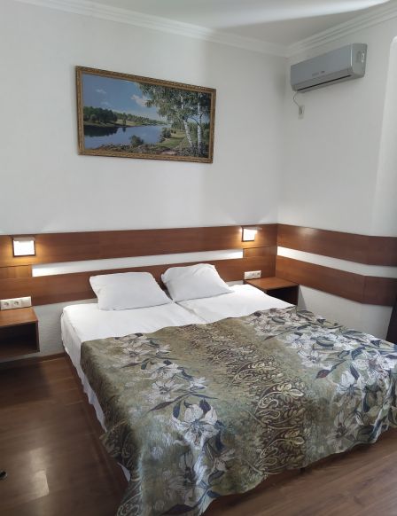 Фотография номера гостиницы Отель Аранда