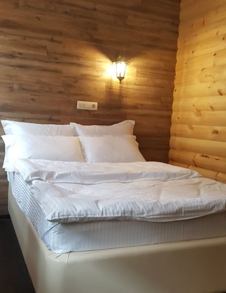 Фотография номера гостиницы Усадьба 50