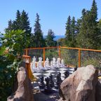 Настольный теннис, Гостевой дом Deesa-hotel