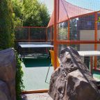 Настольный теннис, Гостевой дом Deesa-hotel