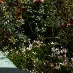 Своя ухоженная территория, Гостевой дом Deesa-hotel