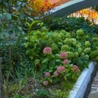 Своя ухоженная территория, Гостевой дом Deesa-hotel