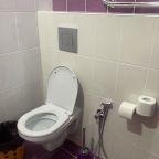 Двухместный (Стандарт ТВИН без балкона (2СТ ББ ТВИН)), Гостевой дом Deesa-hotel